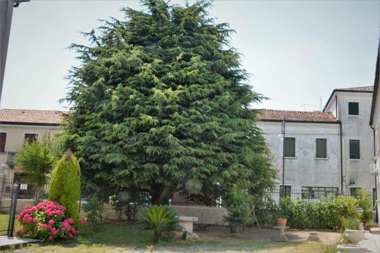 Dimora Scaldaferro Villa Mira Exterior photo